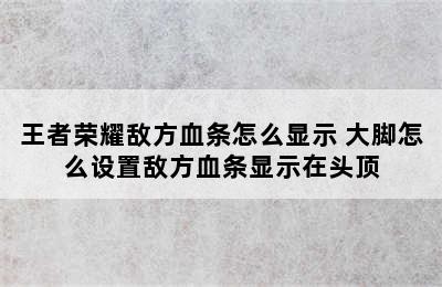 王者荣耀敌方血条怎么显示 大脚怎么设置敌方血条显示在头顶